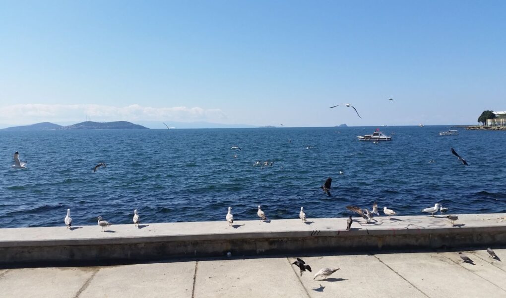 timpul fetelor si nu numai