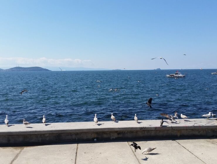 timpul fetelor si nu numai