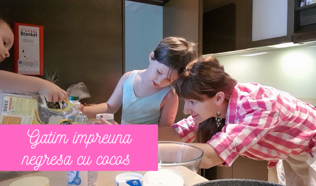 Negresă delicioasă, fără ouă