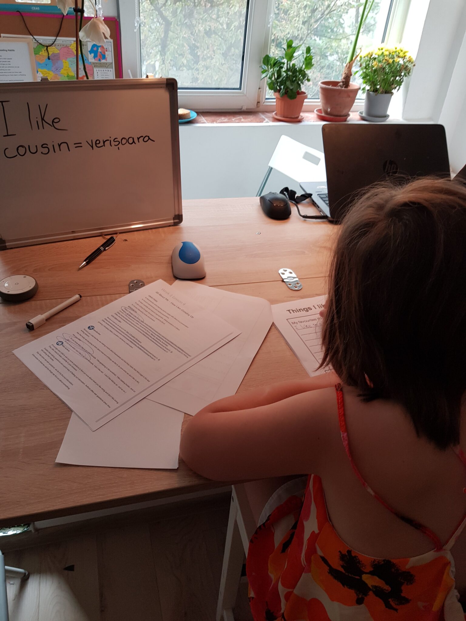 homeschooling engleza