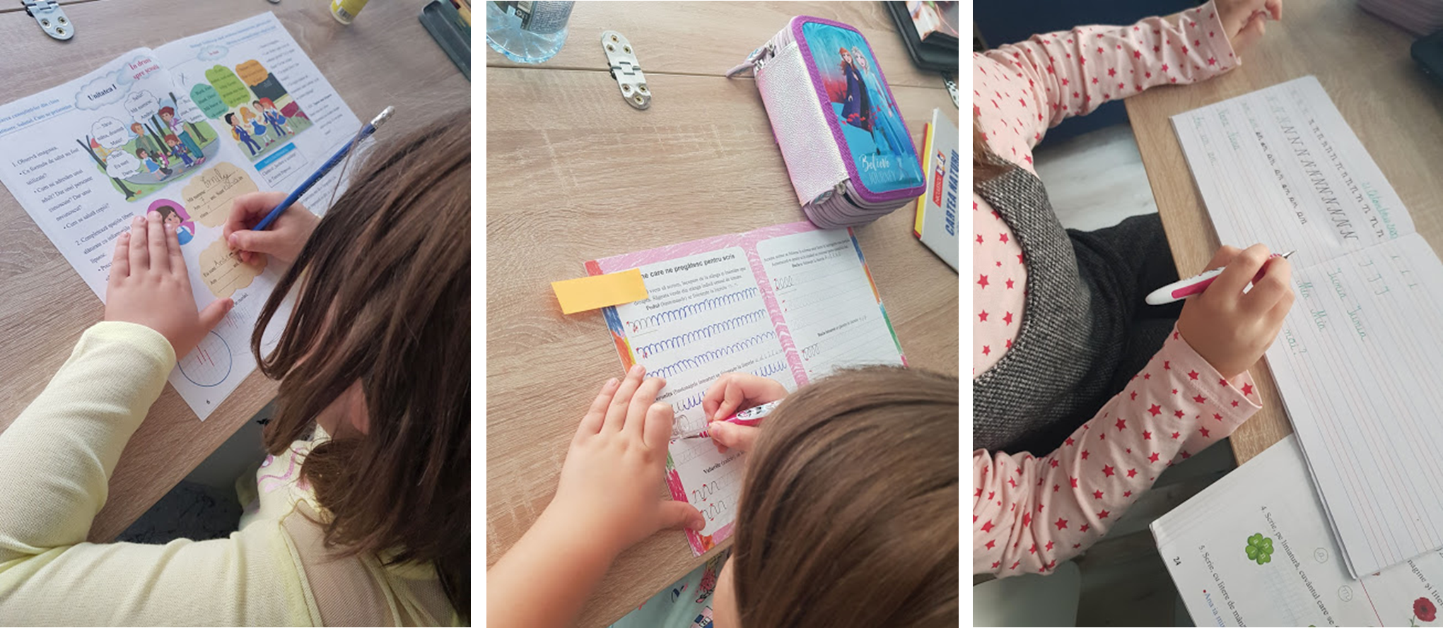 scriere si comunicare in romana