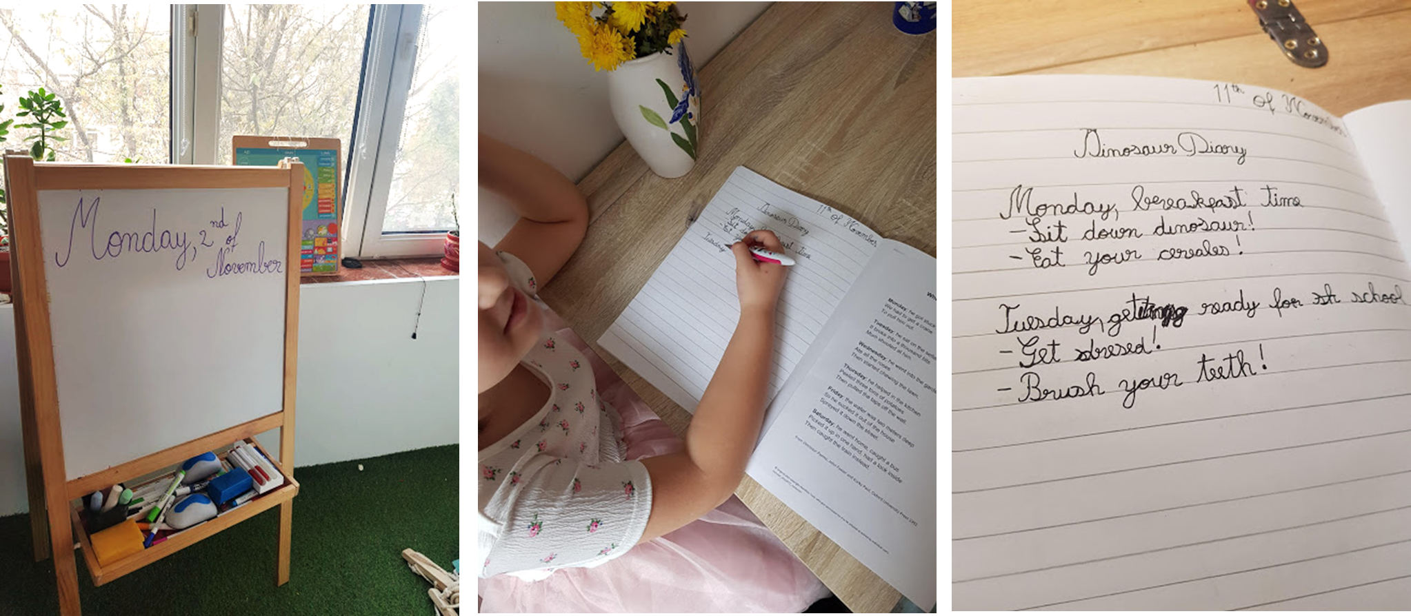 scriere si comunicare in romana