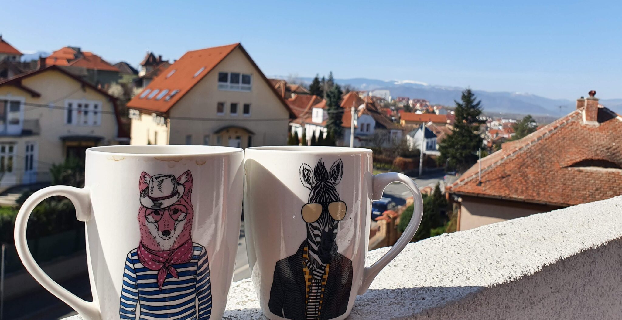 vedere Sibiu cu copiii