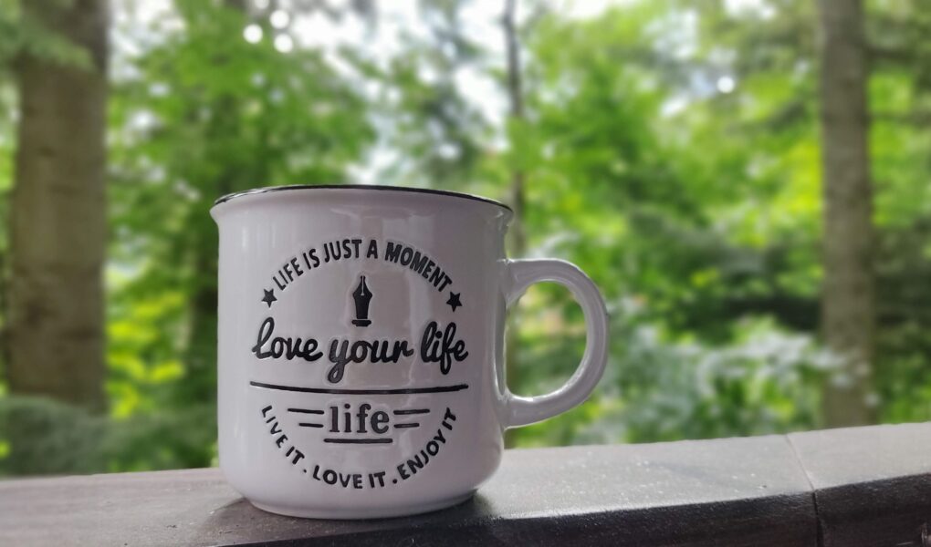 Un an atipic: în pandemie, câtă călătorie ? (partea I)