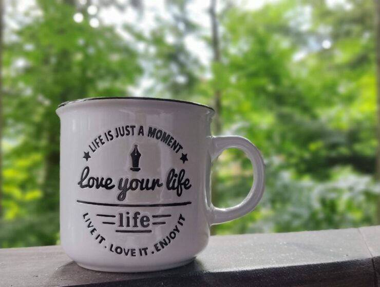 Un an atipic: în pandemie, câtă călătorie ? (partea I)