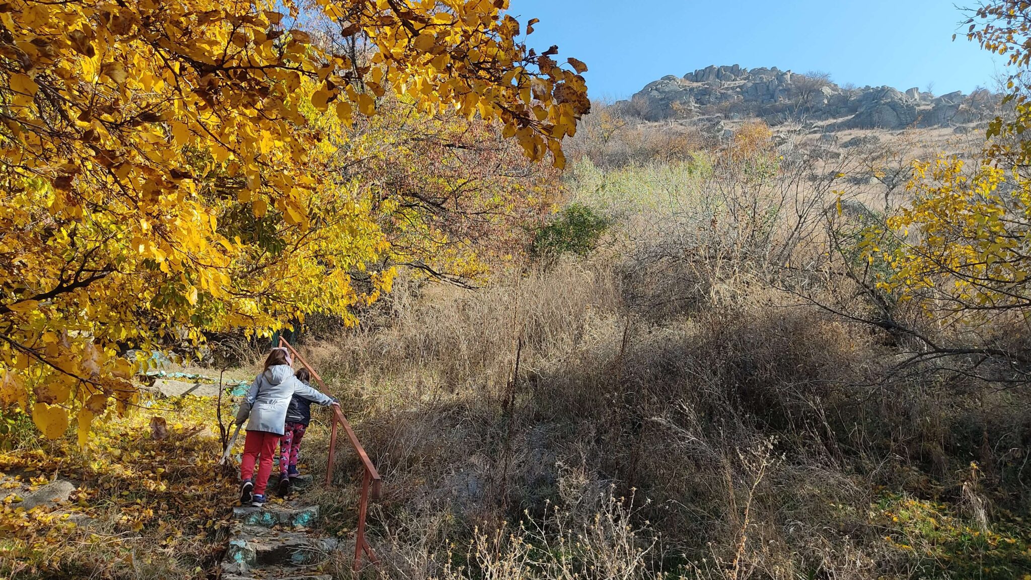 Un an atipic: în pandemie, câtă călătorie ? (part II)