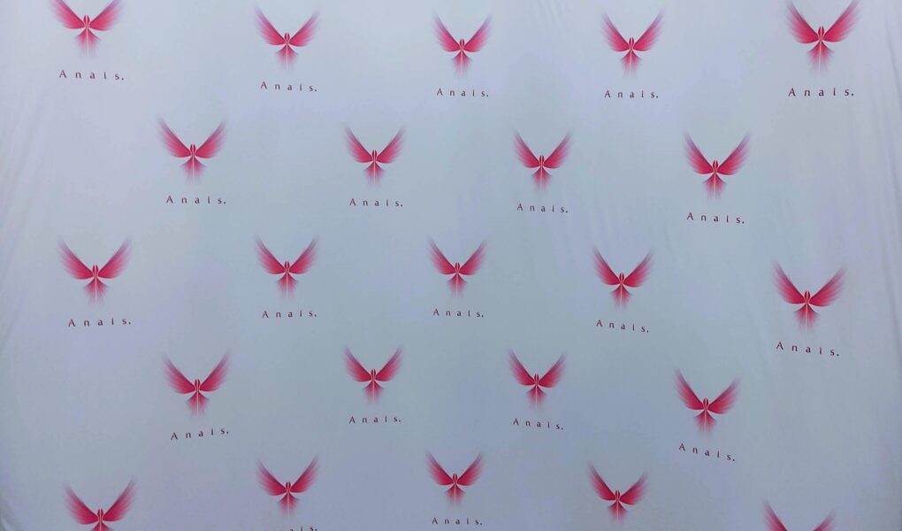 Anais ingerii victimelor violentei domestice